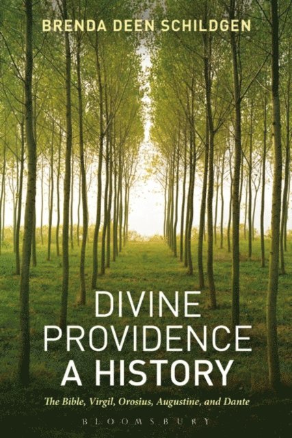 Brenda Deen Schildgen - Divine Providence: A History, E-bok