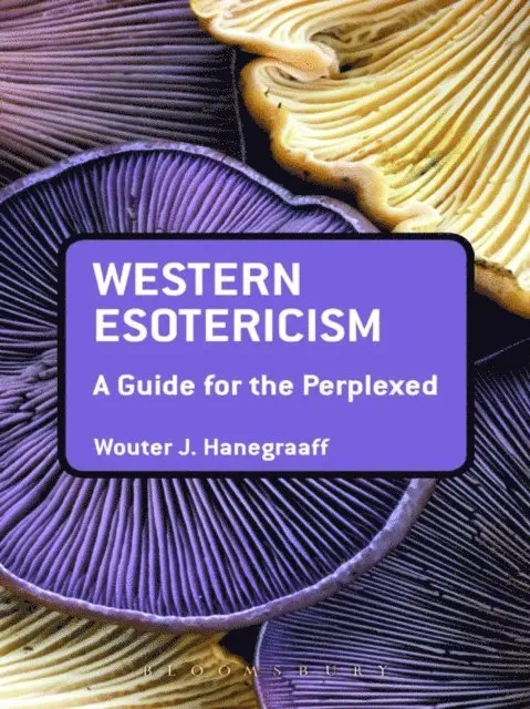 Wouter J. Hanegraaff - Western Esotericism: A Guide for the Perplexed, E-bok. Tillgänglighet: Lägg i varukorg