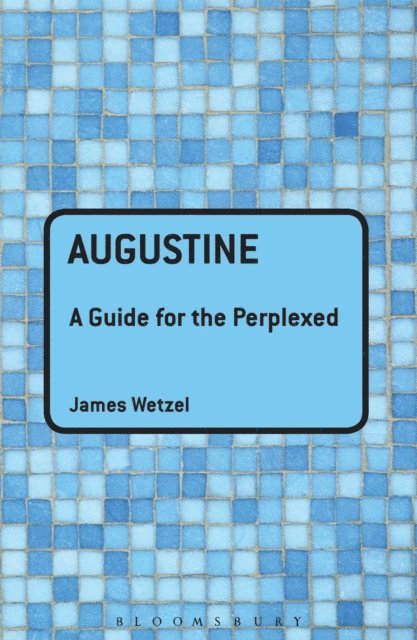 James Wetzel - Augustine: A Guide for the Perplexed, E-bok