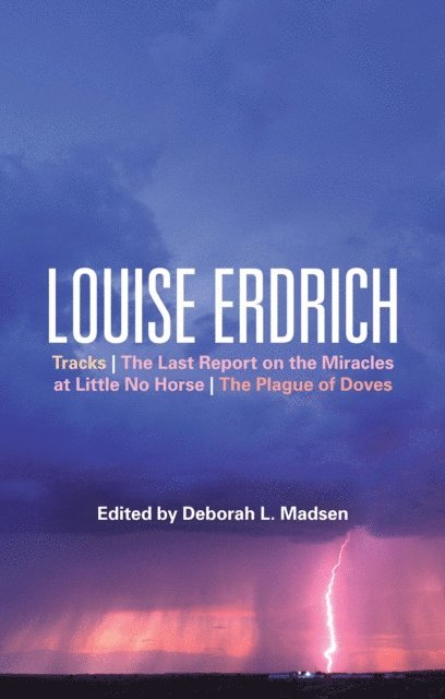 Deborah L. Madsen - Louise Erdrich, E-bok