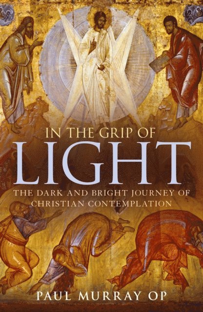 Paul Murray OP - In the Grip of Light, E-bok