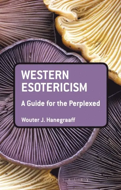 Wouter J. Hanegraaff - Western Esotericism: A Guide for the Perplexed, E-bok. Tillgänglighet: Lägg i varukorg