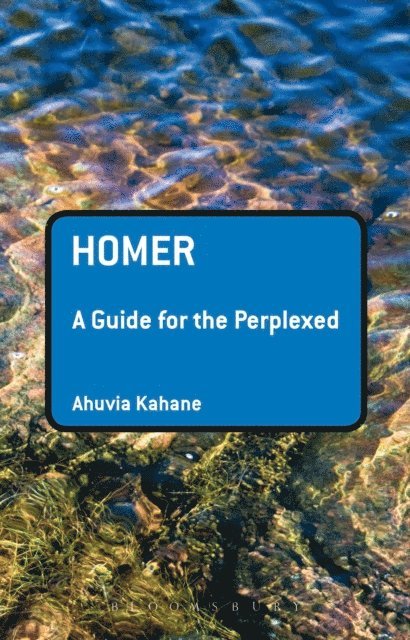 Ahuvia Kahane - Homer: A Guide for the Perplexed, E-bok