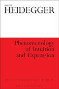Phenomenology of Intuition and Expression