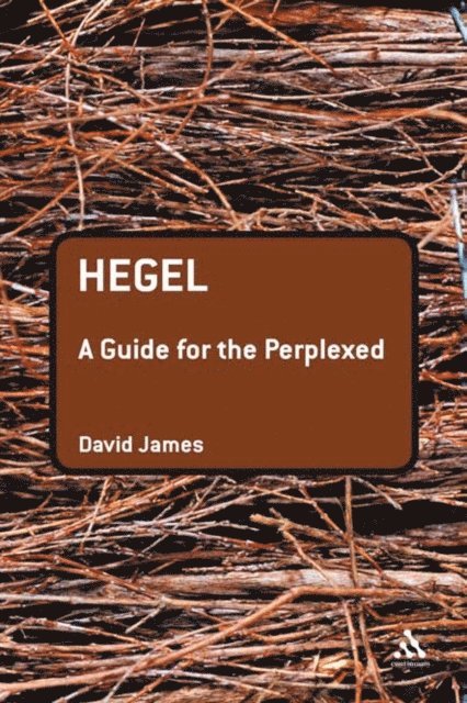 David James - Hegel: A Guide for the Perplexed, E-bok