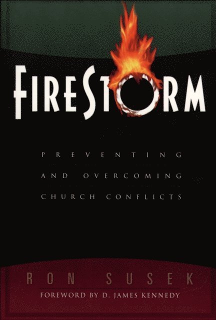 Ron Susek - Firestorm, E-bok