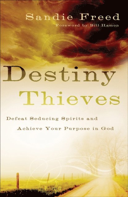 Sandie Freed - Destiny Thieves, E-bok