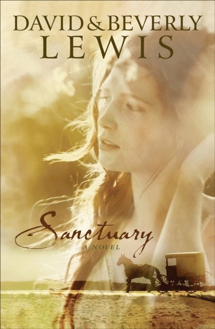 Beverly Lewis, David Lewis - Sanctuary, E-bok