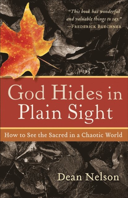 Dean Nelson - God Hides in Plain Sight, E-bok