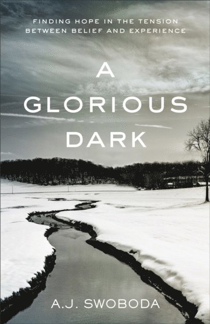 A. J. Swoboda - Glorious Dark, E-bok
