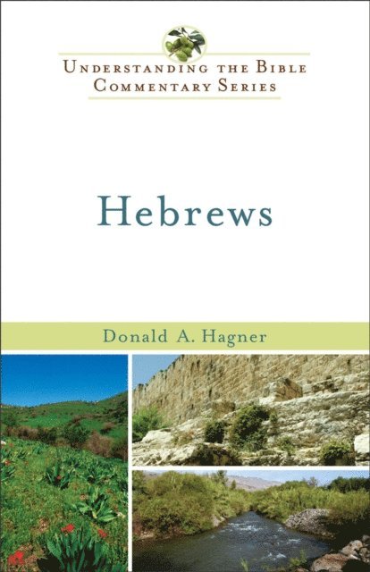 Donald A. Hagner - Hebrews (Understanding the Bible Commentary Series), E-bok