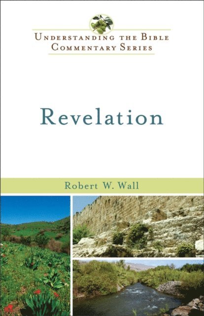 Robert W. Wall - Revelation (Understanding the Bible Commentary Series), E-bok
