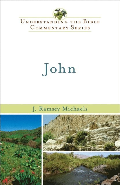 J. Ramsey Michaels - John (Understanding the Bible Commentary Series), E-bok