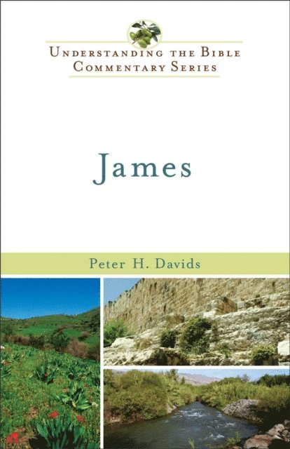 Peter H. Davids - James (Understanding the Bible Commentary Series), E-bok