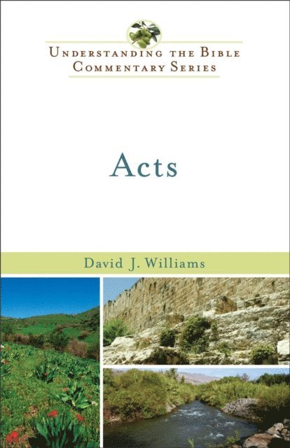 David J. Williams - Acts (Understanding the Bible Commentary Series), E-bok