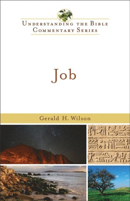 Gerald H. Wilson - Job (Understanding the Bible Commentary Series), E-bok