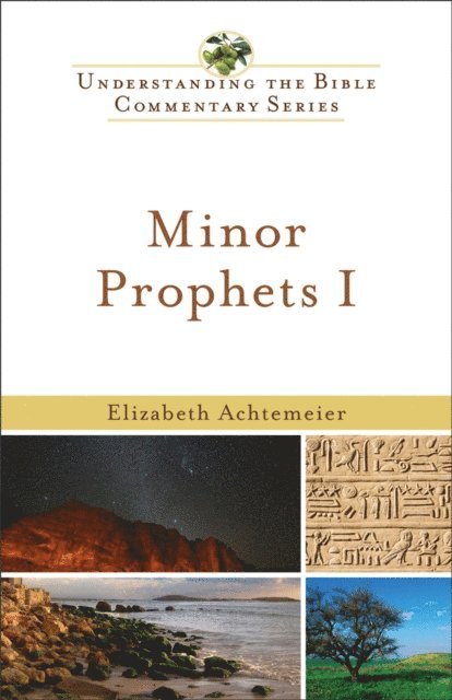 Elizabeth Achtemeier - Minor Prophets I (Understanding the Bible Commentary Series), E-bok