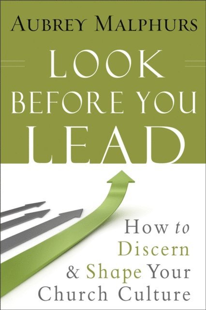 Aubrey Malphurs - Look Before You Lead, E-bok