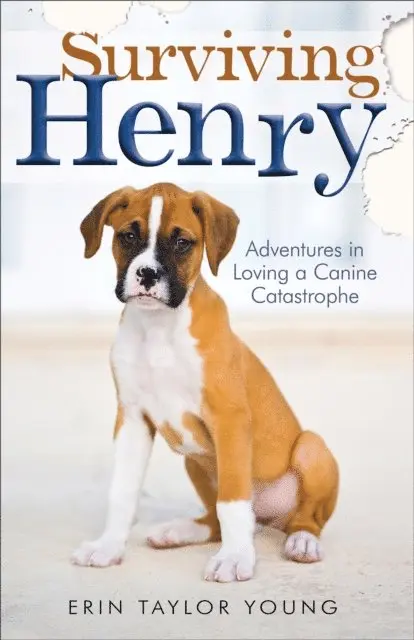 Erin Taylor Young - Surviving Henry, E-bok. Tillgänglighet: Lägg i varukorg