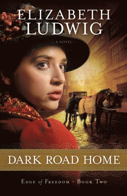 Elizabeth Ludwig - Dark Road Home (Edge of Freedom Book #2), E-bok