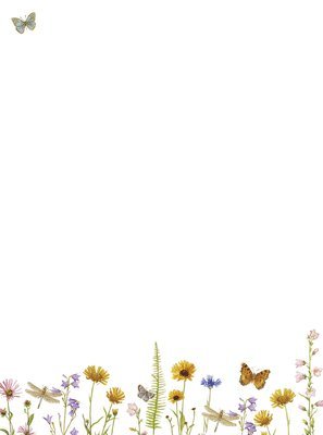 Brevpapper Wildflower Garden