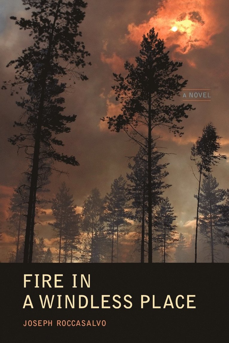 Joseph Roccasalvo - Fire in a Windless Place, Häftad. Tillgänglighet: Lägg i varukorg