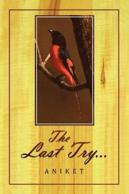 Aniket - The Last Try., Häftad