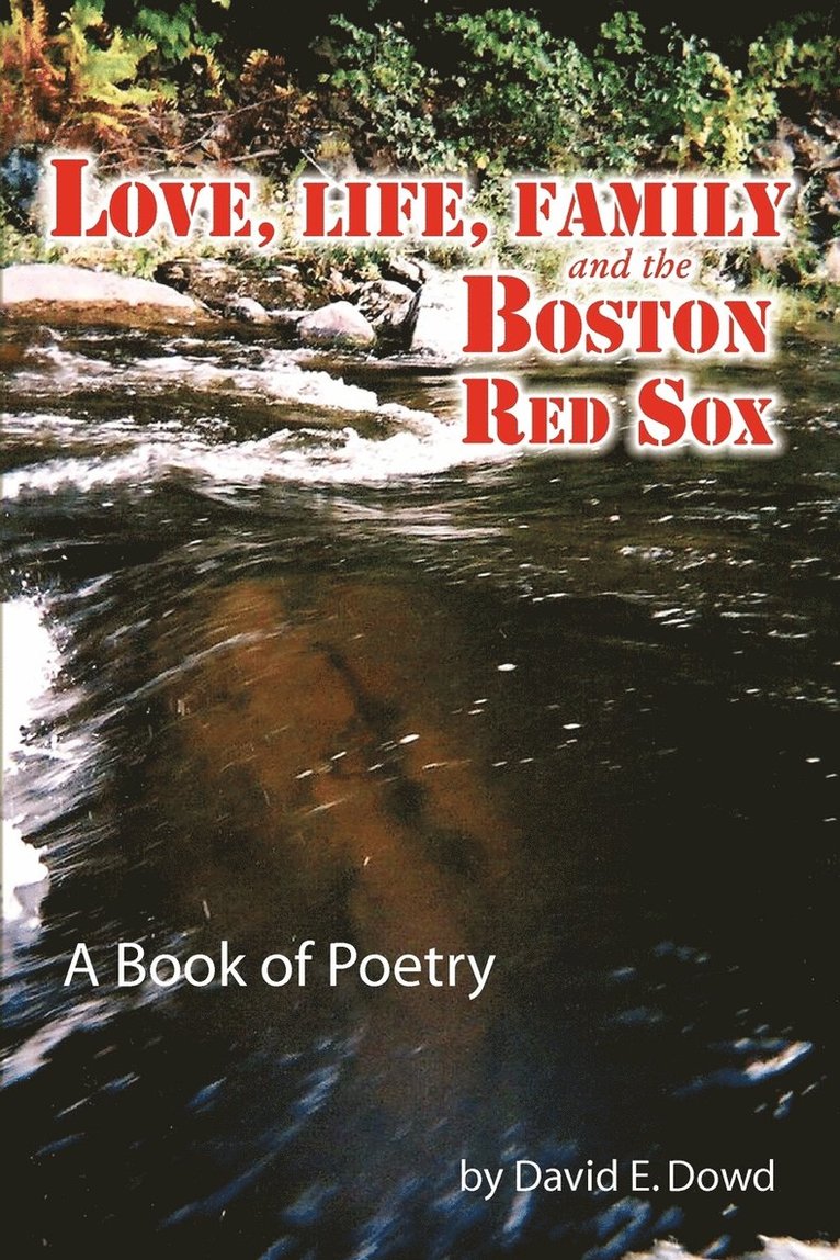 David E Dowd - Love, Life, Family and the Boston Red Sox, Häftad