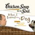 Chicken Soup for the Soul: What I Learned from the Dog - 31 Stories about Family, Courage, and How to Listen