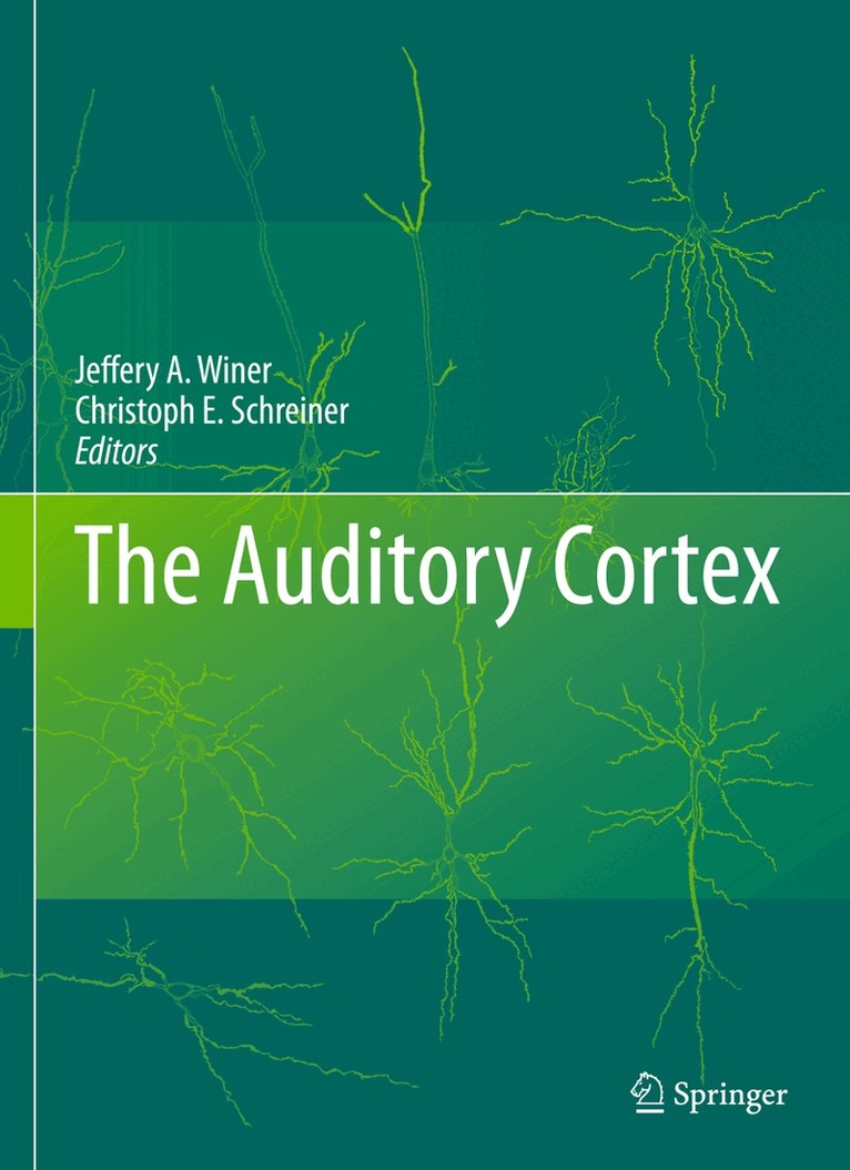 Auditory Cortex
