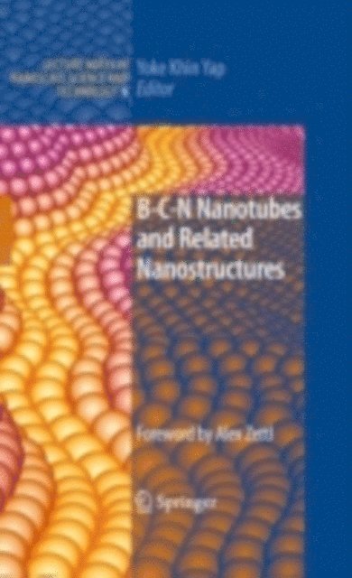 Yoke Khin Yap - B-C-N Nanotubes and Related Nanostructures, E-bok