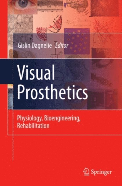 Gislin Dagnelie - Visual Prosthetics, E-bok. Tillgänglighet: Lägg i varukorg