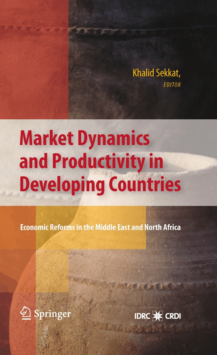 Khalid Sekkat - Market Dynamics and Productivity in Developing Countries, Inbunden