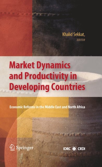 Khalid Sekkat - Market Dynamics and Productivity in Developing Countries, E-bok