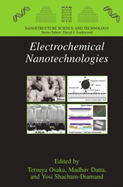 Yosi Shacham-Diamand, Madhav Datta, Tetsuya Osaka - Electrochemical Nanotechnologies, E-bok