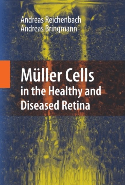Andreas Bringmann, Andreas Reichenbach - Muller Cells in the Healthy and Diseased Retina, E-bok