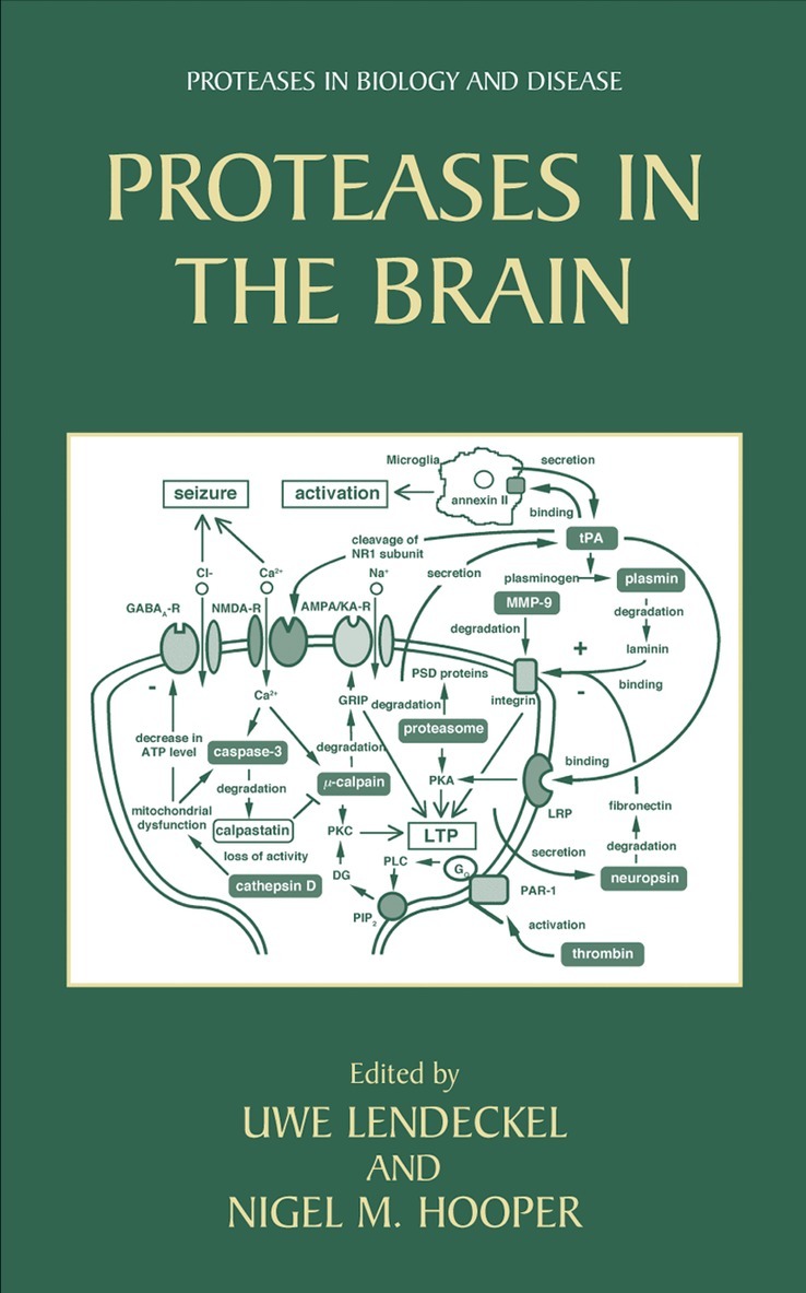 Uwe Lendeckel, Nigel M Hooper - Proteases in the Brain, Häftad. Tillgänglighet: Lägg i varukorg