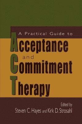 Practical Guide to Acceptance and Commitment Therapy av Steven C Hayes, Kirk D Strosahl