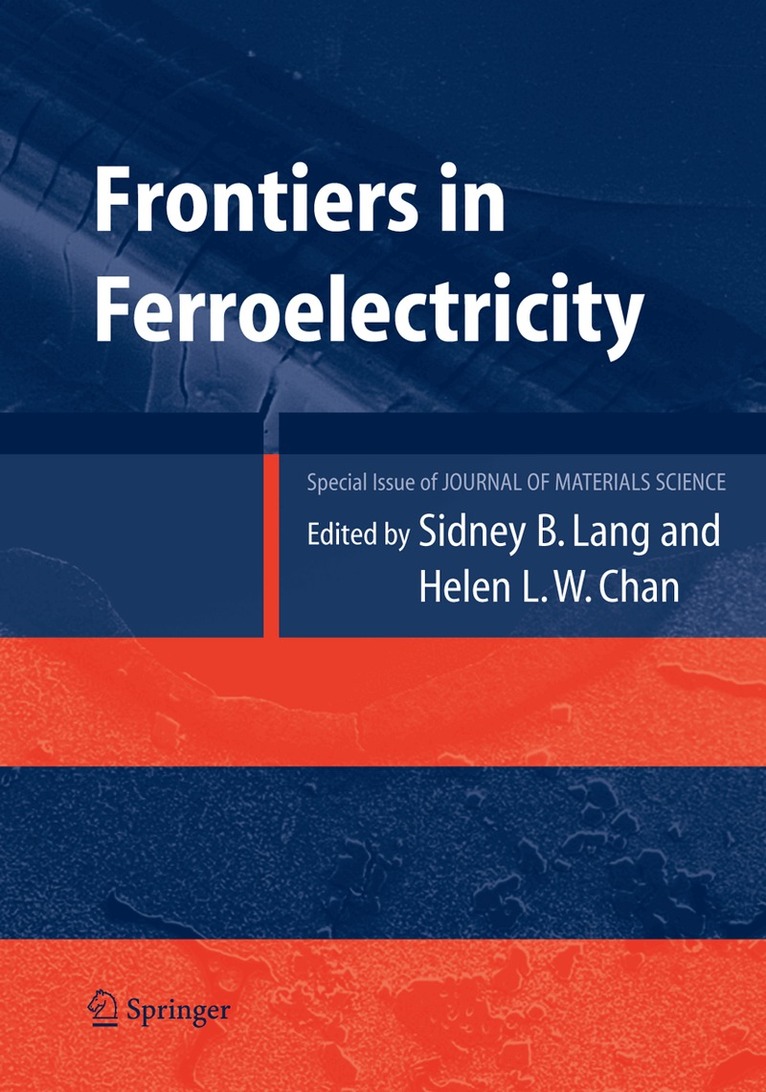 Sidney B. Lang, Helen L.W. Chan - Frontiers of Ferroelectricity, Häftad. Tillgänglighet: Lägg i varukorg