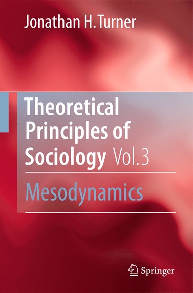 Theoretical Principles of Sociology, Volume 3 av Jonathan H Turner