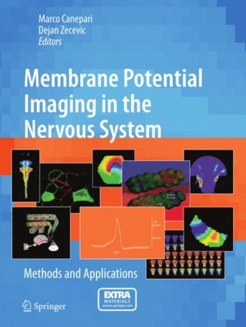 Dejan Zecevic, Marco Canepari - Membrane Potential Imaging in the Nervous System, E-bok. Tillgänglighet: Lägg i varukorg