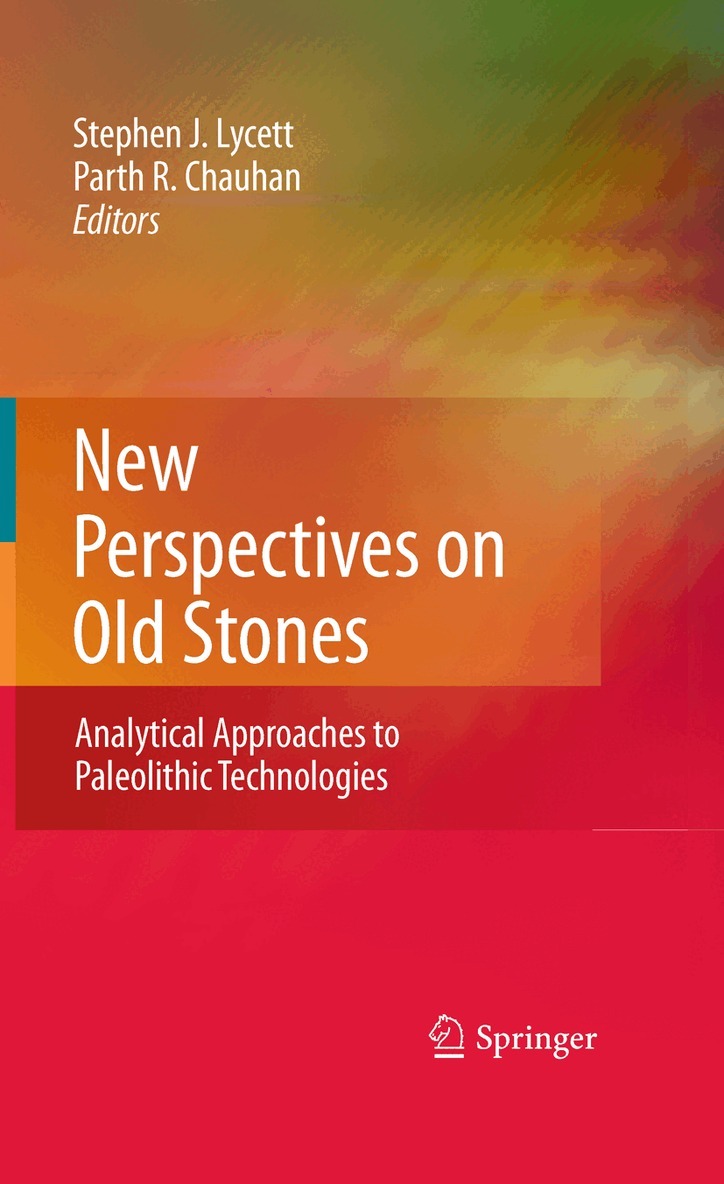 Stephen Lycett, Parth Chauhan - New Perspectives on Old Stones, Inbunden. Tillgänglighet: Lägg i varukorg