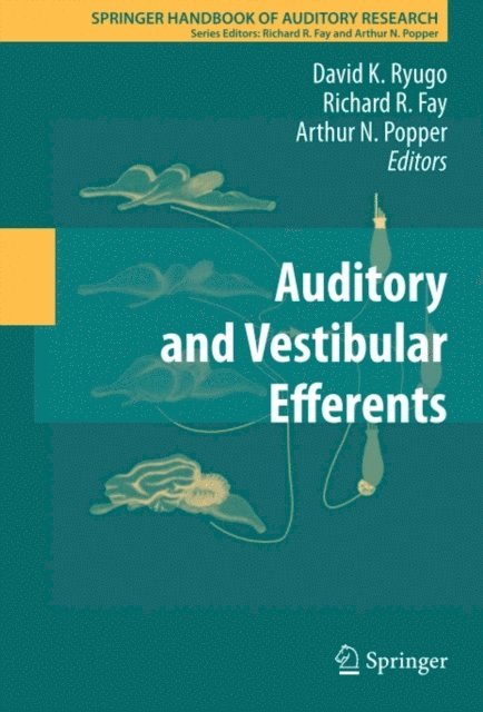 Arthur N. Popper, Richard R. Fay, David K. Ryugo - Auditory and Vestibular Efferents, E-bok