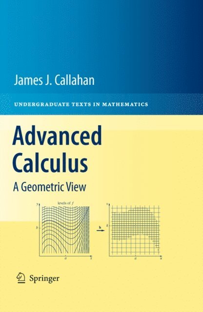 James J. Callahan - Advanced Calculus, E-bok