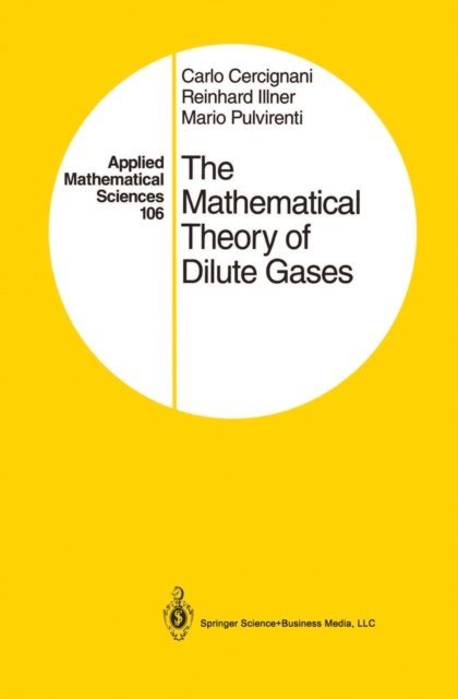 Mario Pulvirenti, Reinhard Illner, Carlo Cercignani - Mathematical Theory of Dilute Gases, E-bok