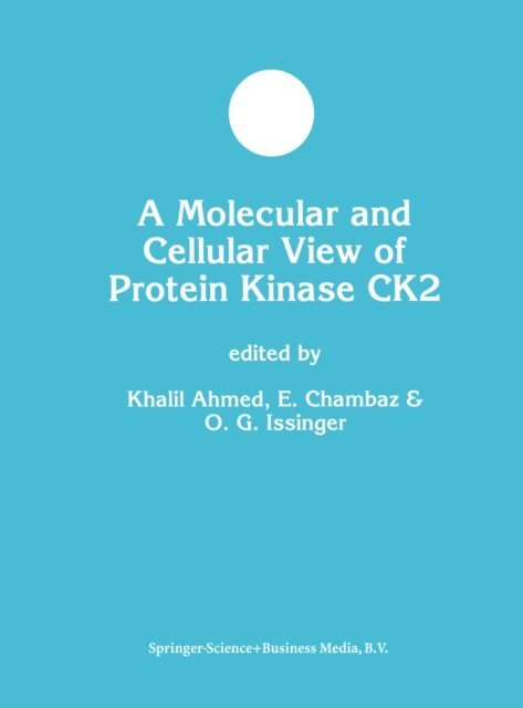 Olaf-Georg Issinger, E. Chambaz, Khalil Ahmed - Molecular and Cellular View of Protein Kinase CK2, E-bok