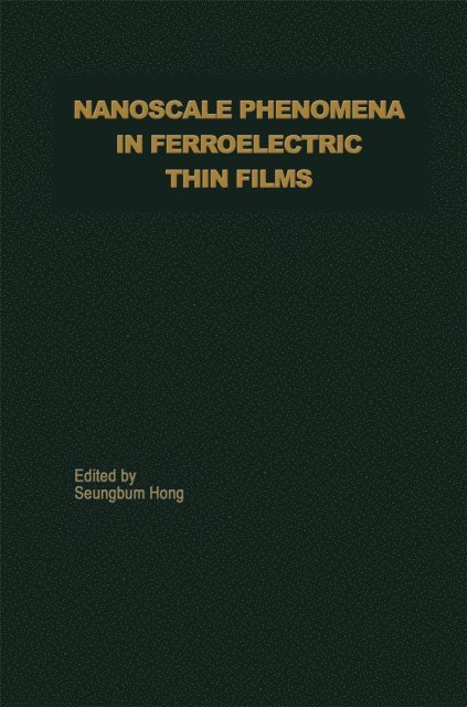 Seungbum Hong - Nanoscale Phenomena in Ferroelectric Thin Films, E-bok