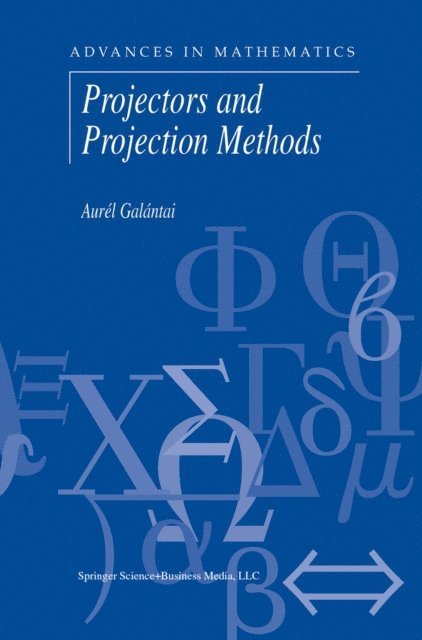 Aurel Galantai - Projectors and Projection Methods, E-bok