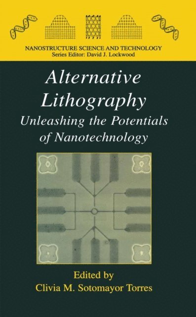 Clivia M. Sotomayor Torres - Alternative Lithography, E-bok