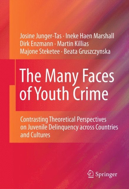 Beata Gruszczynska, Majone Steketee, Martin Killias, Dirk Enzmann, Ineke Haen Marshall, Josine Junger-Tas - Many Faces of Youth Crime, E-bok